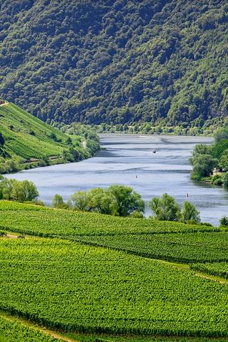 Mosel Wine Region, Germany